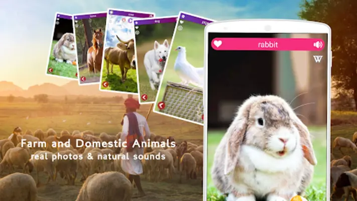 Farm Animal Sounds android App screenshot 0