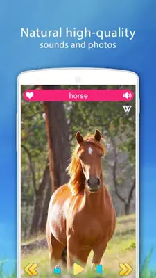 Farm Animal Sounds android App screenshot 10